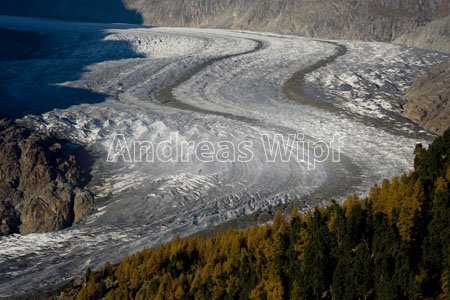 xx_2008_10_19_aletsch2_331.jpg