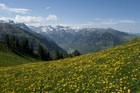 xx2007_05_13_buochserhorn_032_small.jpg