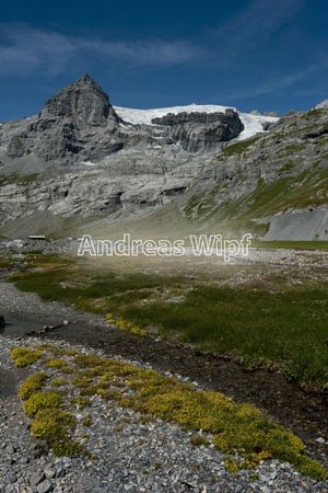 xx2009_08_23_schaerhorn_046.jpg