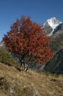 xx2007_10_13_hockenhorn_162_small.jpg